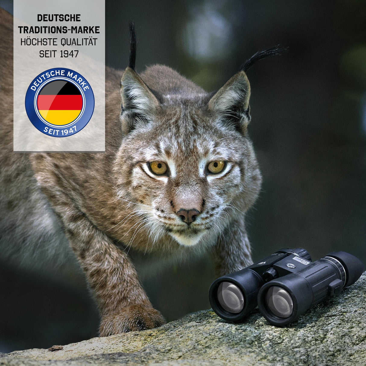 STEINER Prismáticos Wildlife 8x42 - Óptica de Calidad Alemana, Imagen Estable, Gran Campo de visión, Alta fidelidad de Color, observar la Naturaleza, los Animales y Las Aves