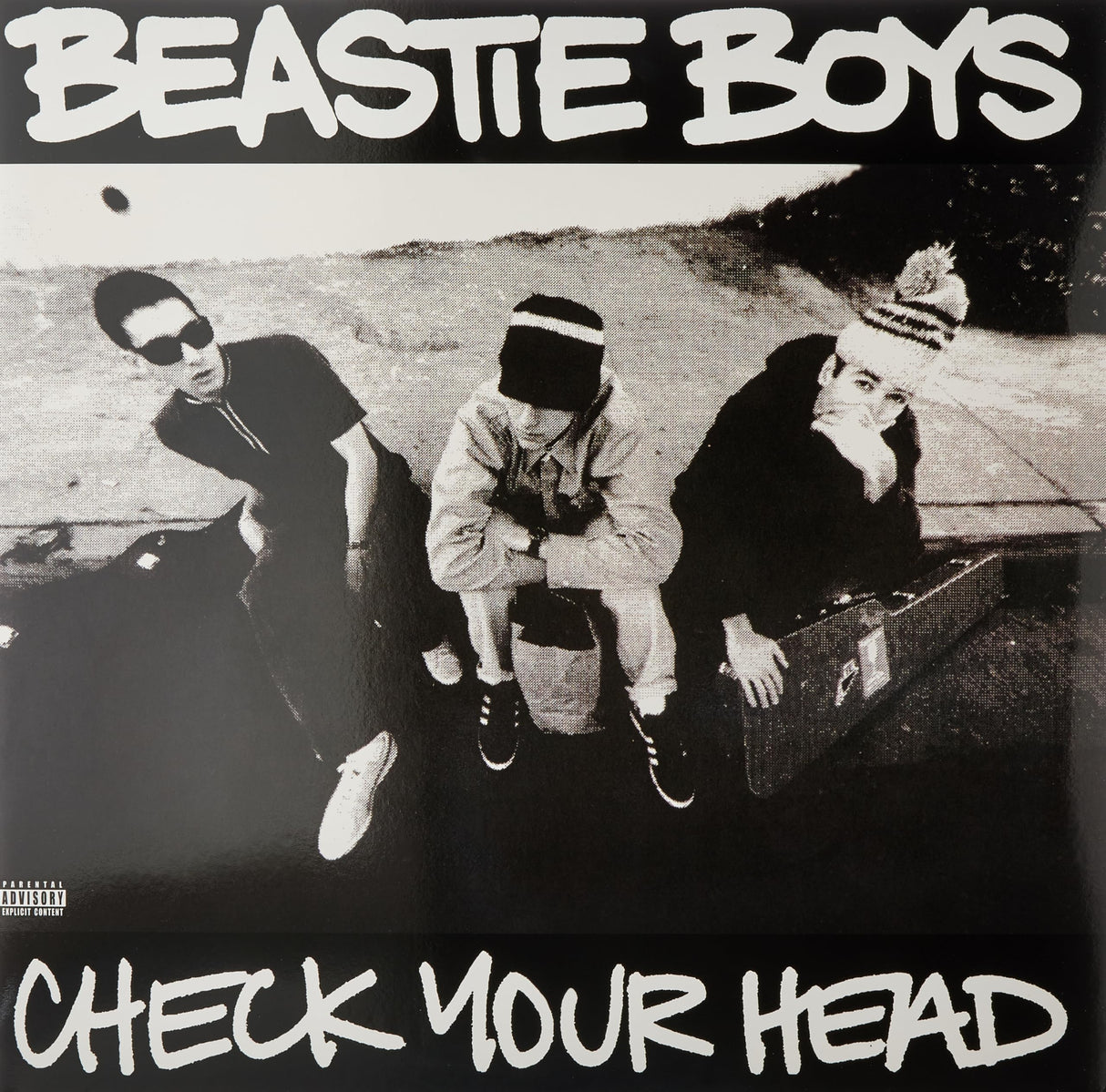 Check Your Head - Remaster Lp2 [Vinilo]