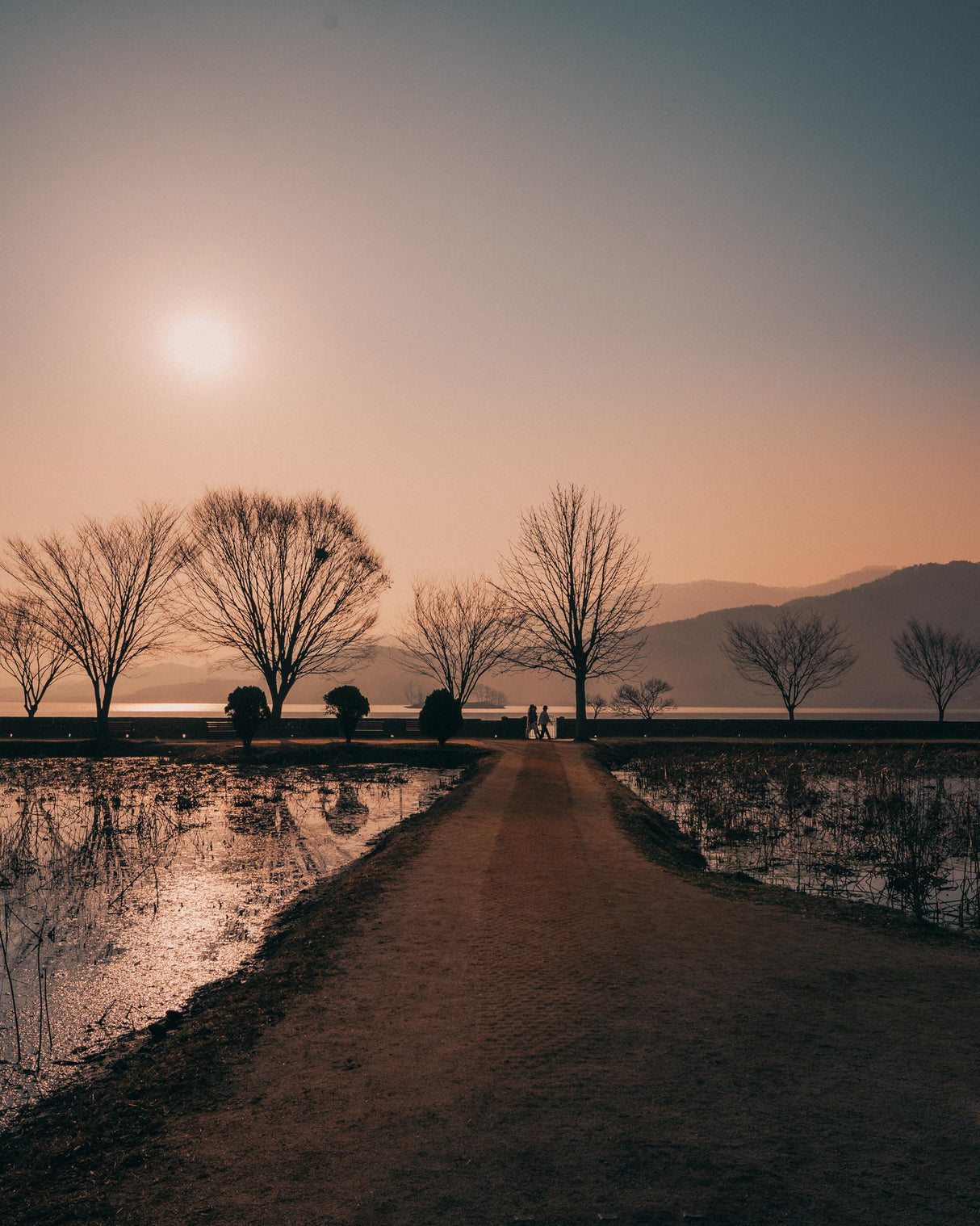 Samyang AF 14-24mm F2.8 Sony FE