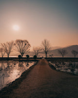Samyang AF 14-24mm F2.8 Sony FE