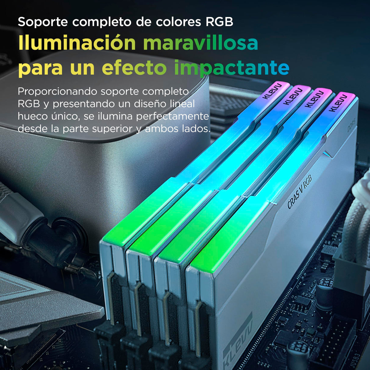 KLEVV CRAS V DDR5 RGB 48GB (2X 24GB) 8000MT/s CL38 Memoria RAM Gaming Kit XMP 3.0 Alto Rendimiento Overclocking 38-48-48-128– Juega más rápido con un CL38 ultrabajo