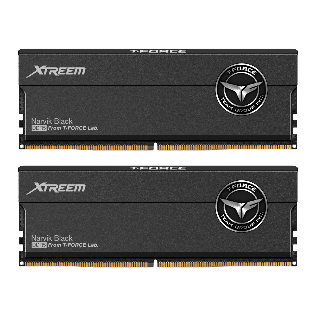 DIMM 32 GB DDR5-8000 (2 x 16 GB) Dual-Kit (Schwarz, FFXD532G8000HC38DDC01, XTREEM, Intel XMP, AMD Expo)