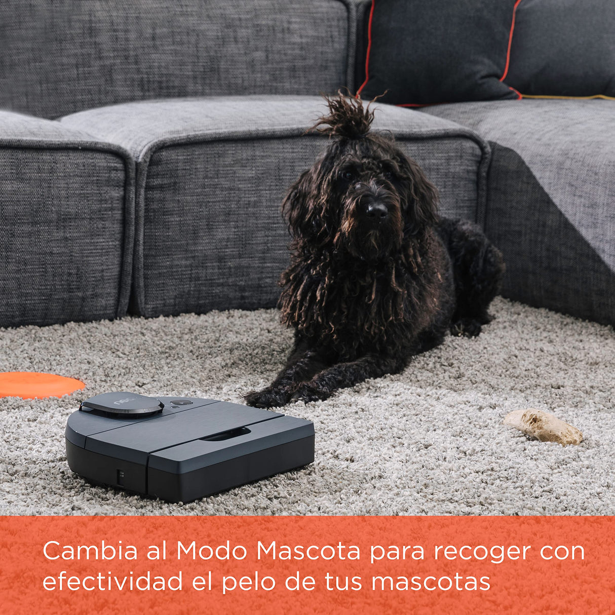Neato Robotics D8 - Robot Aspirador Inteligente - Navegación láser - Batería de larga duración de 100 minutos - 700ml depósito de polvo - Auto Recarga - Ideal para suelos y alfombras