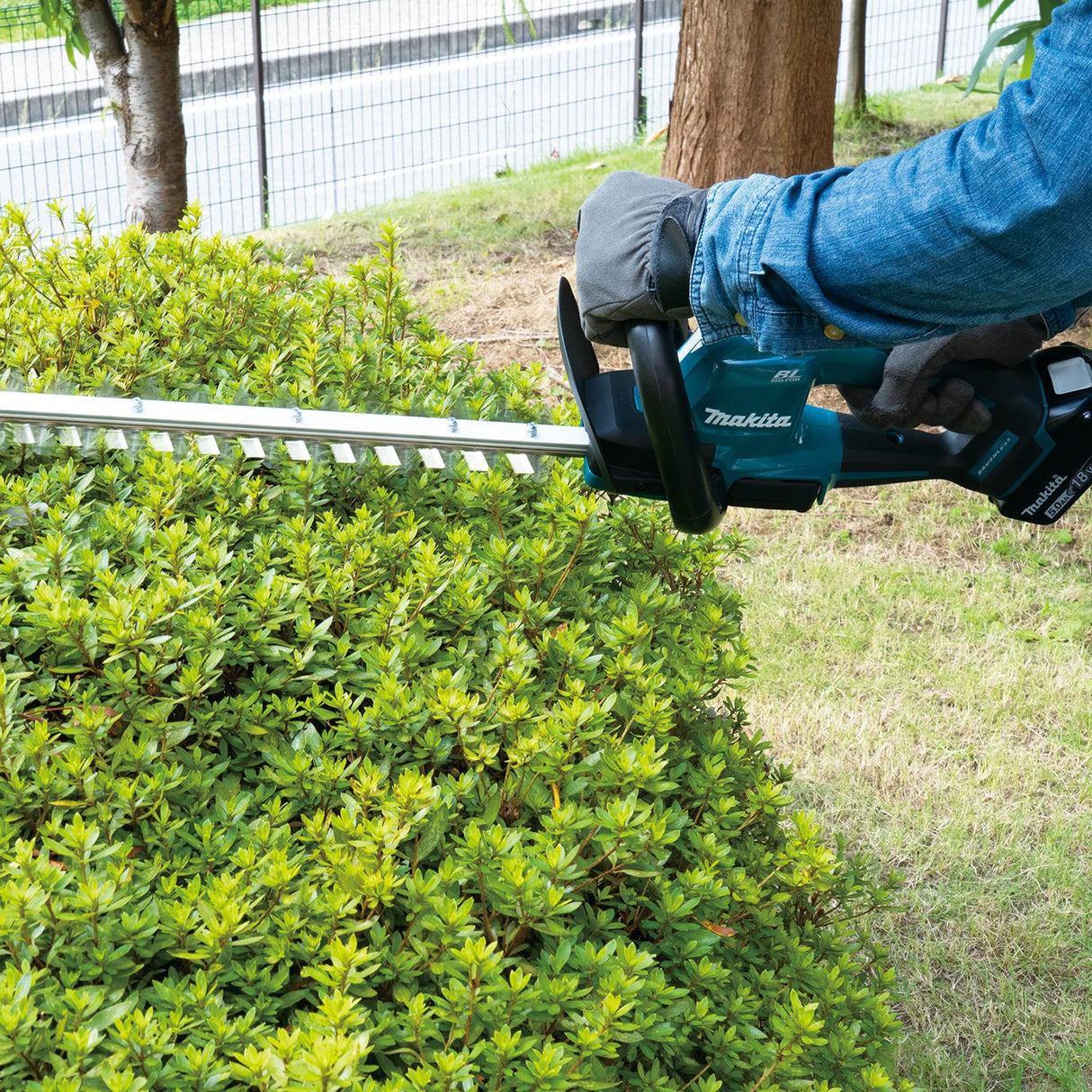 Makita DUH506RT - Cortasetos de Iones de Litio (18 V, sin escobillas, 50 cm, Incluye 1 batería de 5,0 Ah y Cargador)