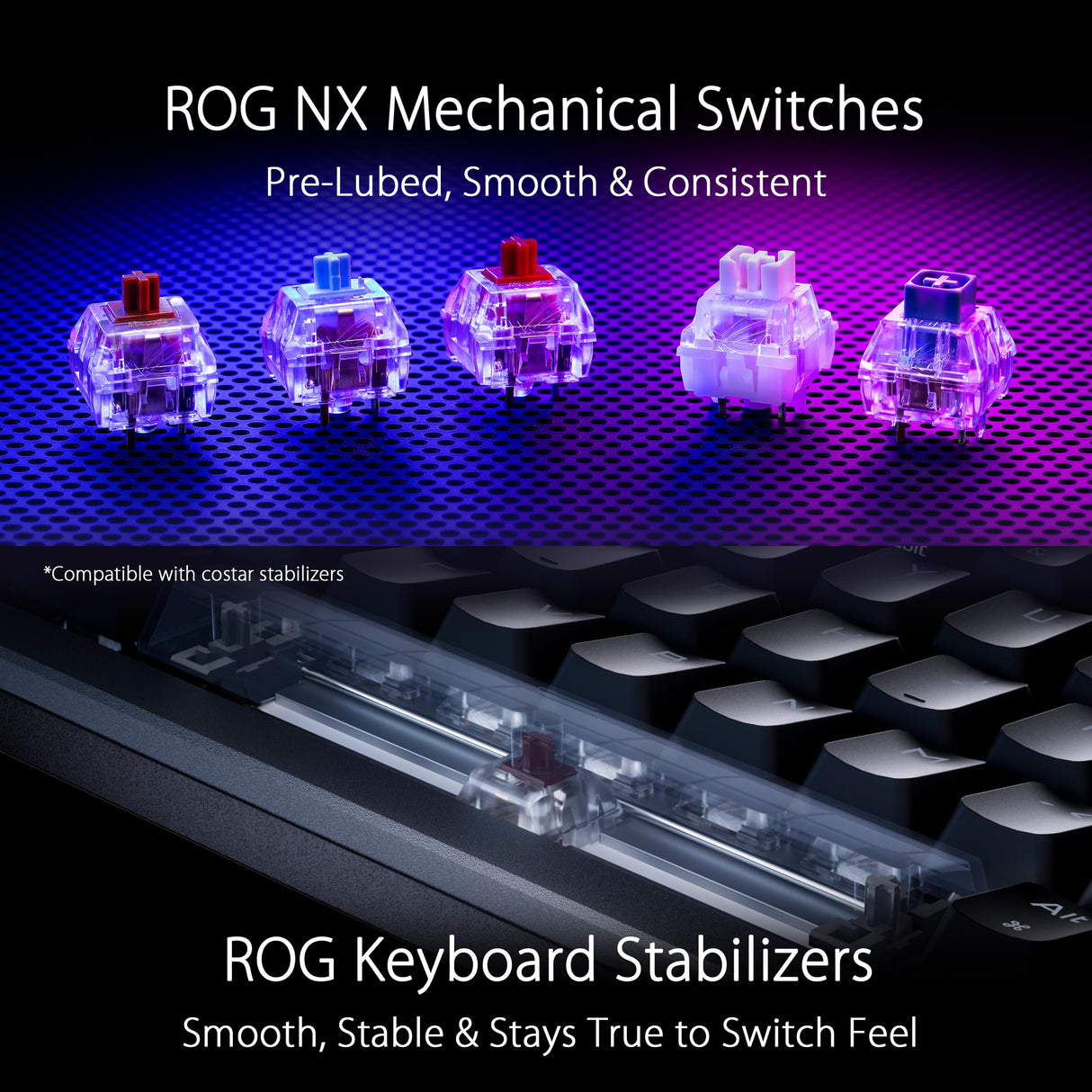 ASUS ROG Azoth White - Teclado mecánico Gaming con conexión Tri-Modo, Pantalla OLED, Montaje por Junta, conmutadores y estabilizadores de Teclado ROG NX Red prelubricados, Hot-Swap, AZERTY