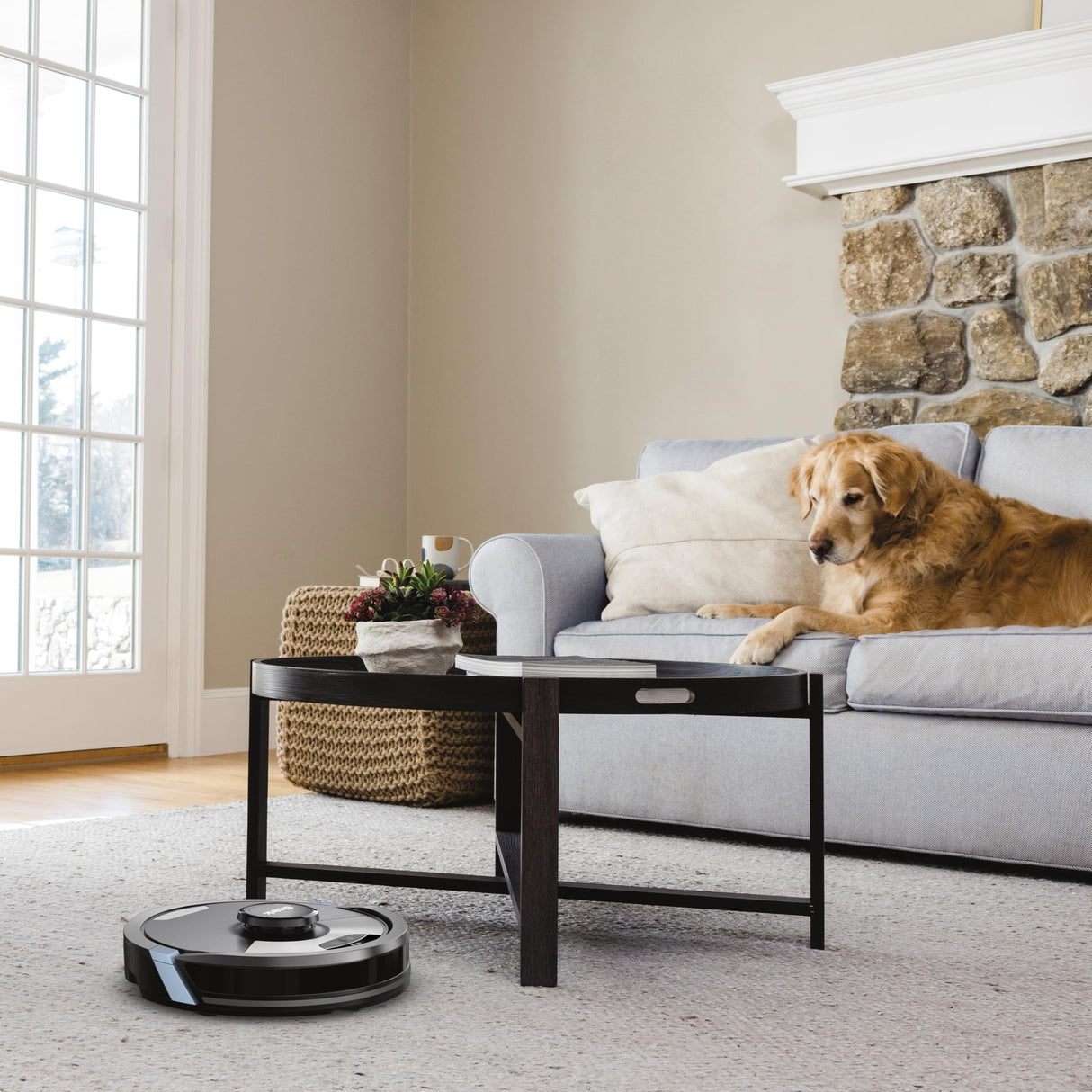 SHARK Robot Aspirador 2 en 1 ai Ultra [RV2600WDEU]: Potente Capacidad de succión, mopa sónica, Anti Hair Wrap, alfombras y Suelos Duros, aplicación por Wi-Fi