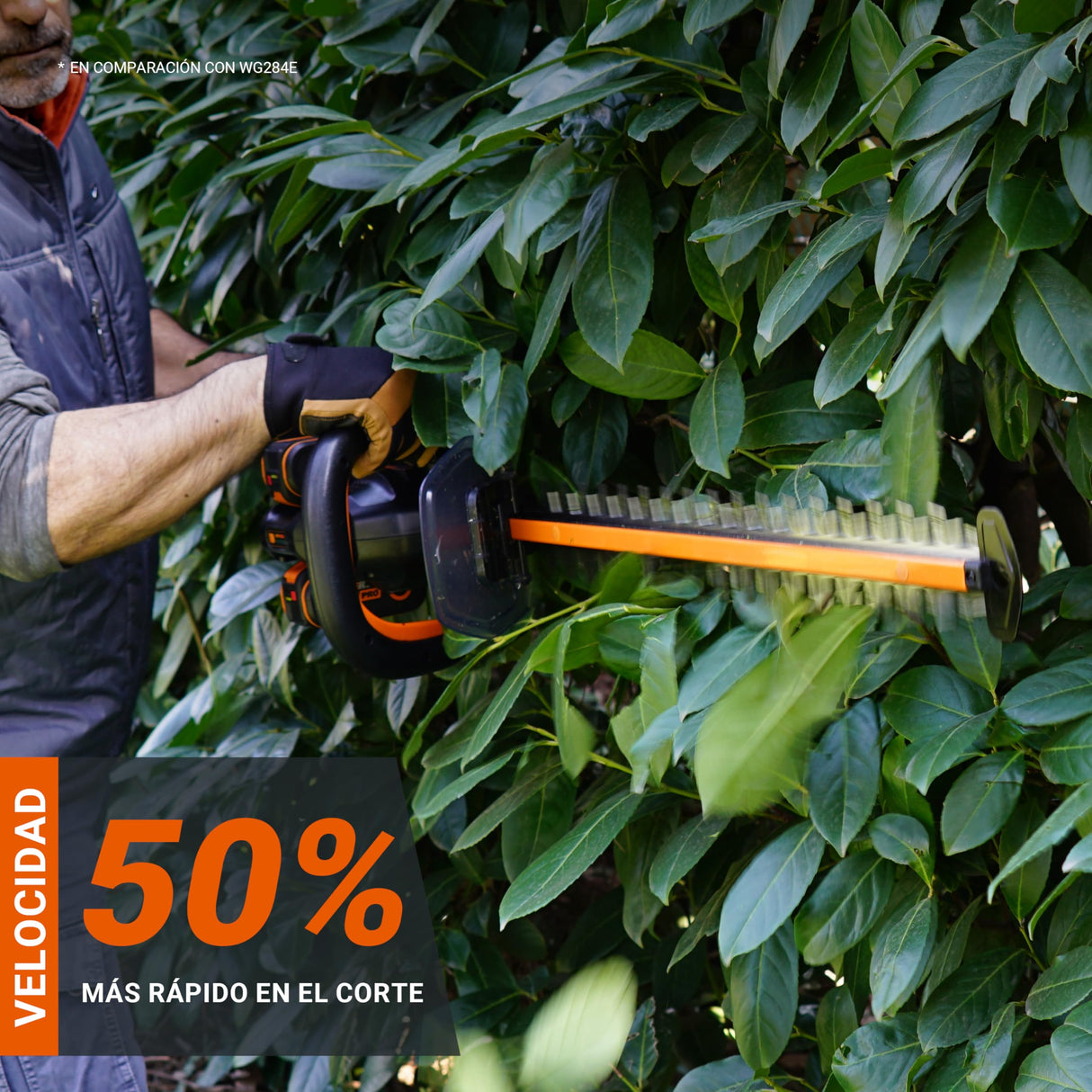 WORX Cortasetos Profesional WG286E.9 Nitro 40 V - Corte preciso Incluso en ángulos difíciles - Motor sin escobillas - Longitud de Corte 58 cm - Distancia Entre Dientes 27 mm - Sin batería ni Cargador