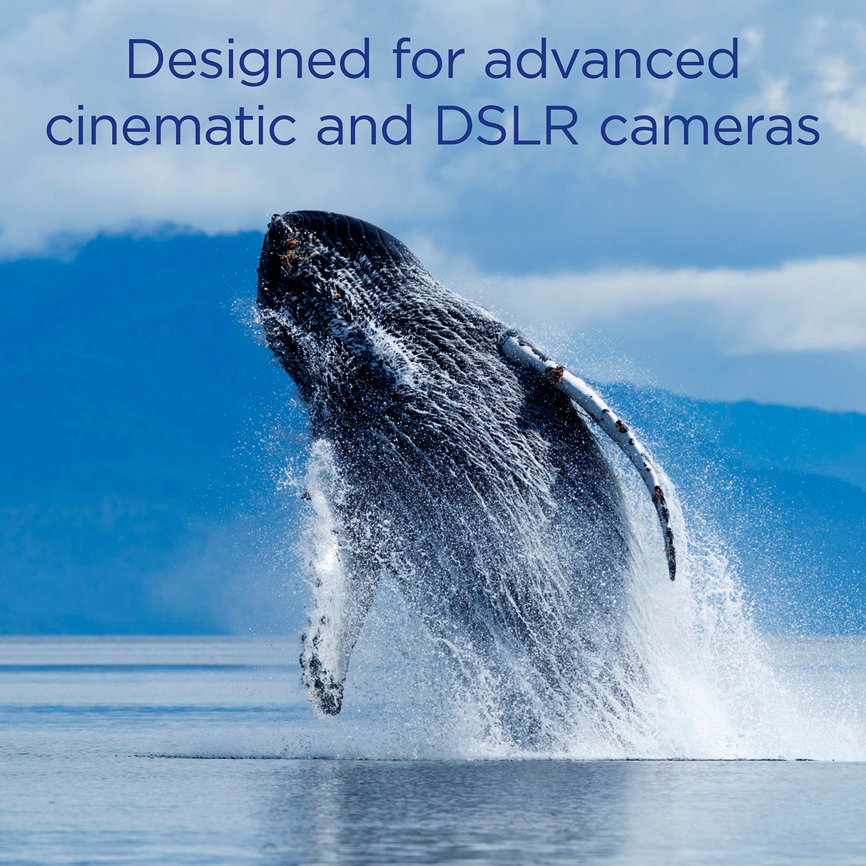 Integral 325GB CFexpress Memory Card Type B 2.0 12K and 8K Raw and 8K 120 FPS 1800MB/s Read 1500MB/s Write Speed 1500MB/s Sustained Write Speed Designed for Advanced Cinematic and DSLR Cameras