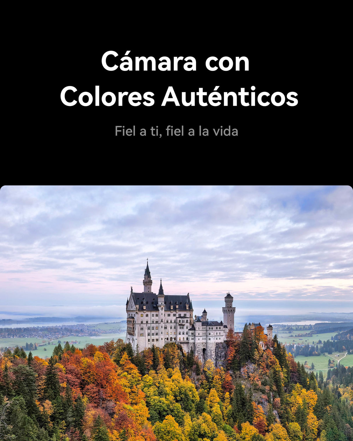 HUAWEI Mate X7 Smartphone Plegable 16+512G, 8" 120Hz LTPO Pantalla Flexible, Cámara con Colores Auténticos, Cristal Kunlun Glass, 5300 mAh Batería para Todo el Día, Garantía Adicional 6 Meses, Negro
