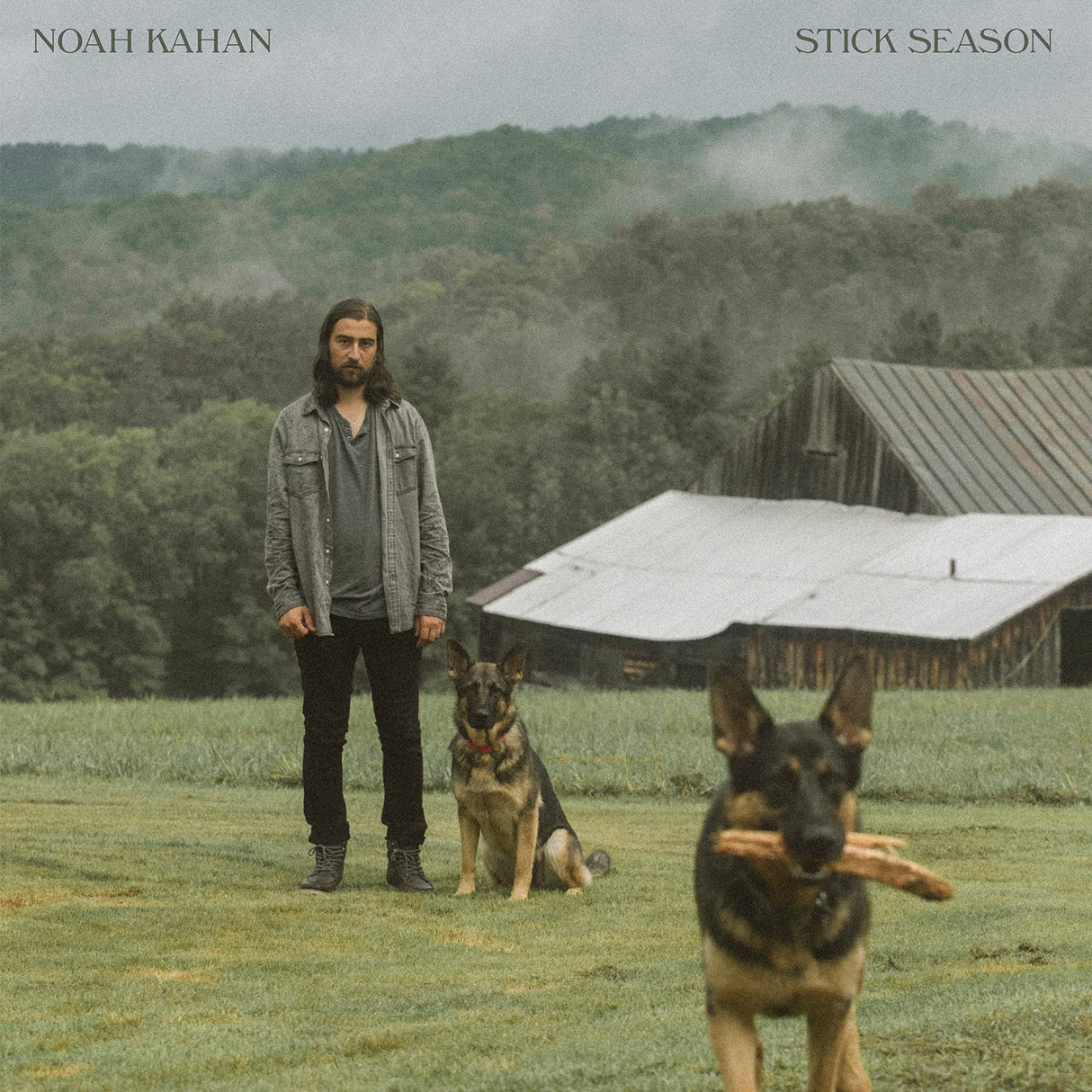 Stick Season (2LP) [Vinilo]