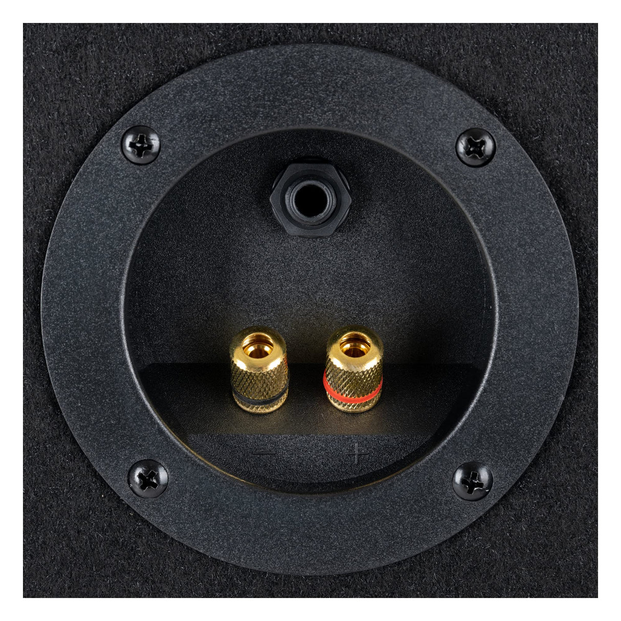 McGrey Altavoz Pasivo TP-10 Sistema PA DJ 400 W