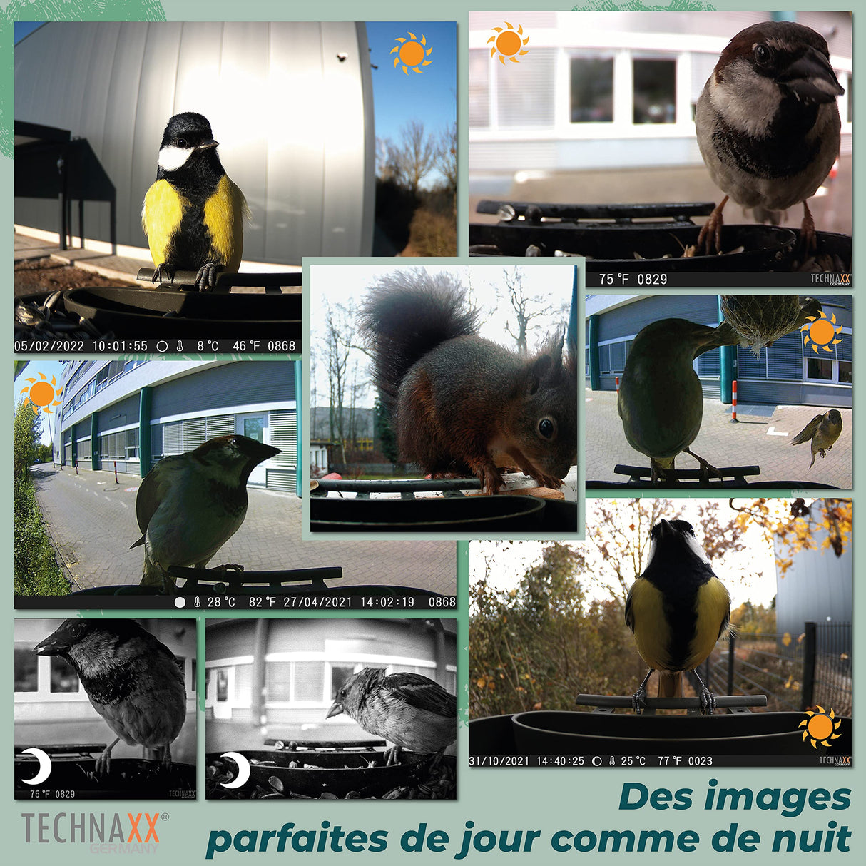 Technaxx Estación de la cámara del alimentador del pájaro de Technaxx con el convite Que cuelga, Caja de 150 g para el alimento y - resolución Video de FullHD - Kit versátil de la instalación TX-165