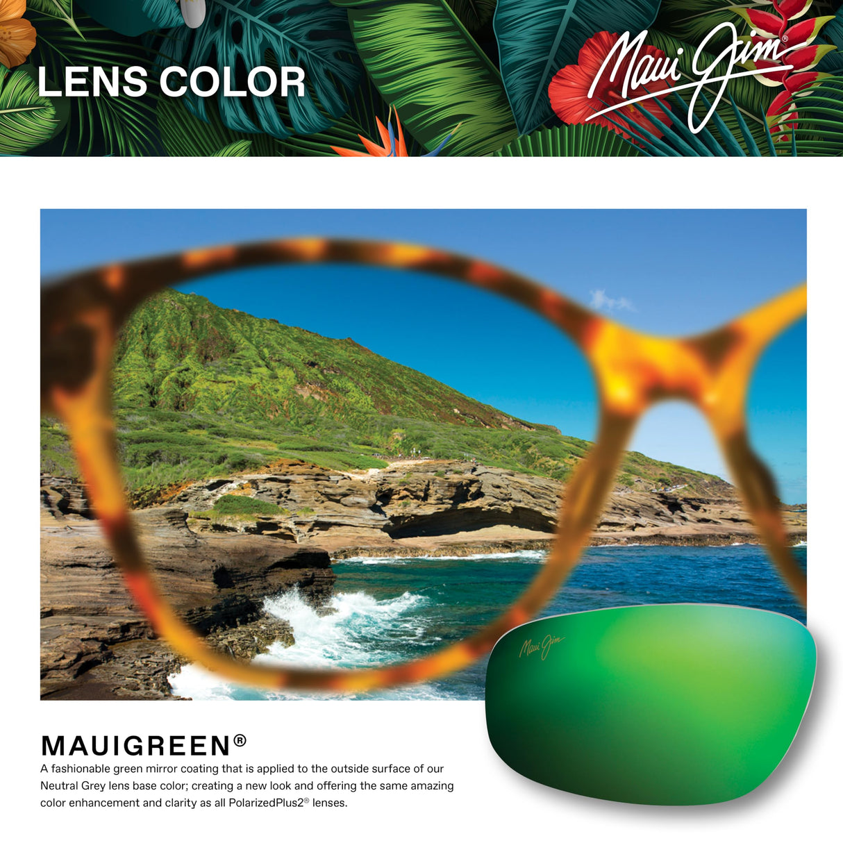 Maui Jim Local Kine Gafas, Black/Tran Green/Lt Trans Grey, 62-15-125 Unisex Adulto