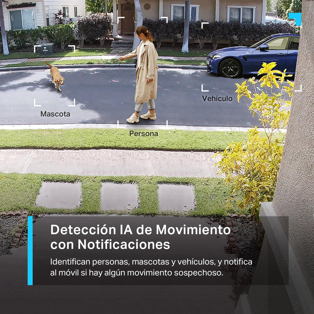 Tapo TP-Link C420S2 - Cámara Vigilancia WiFi Exterior Inalámbrica con Batería Recargable, Resolución 2k, Visión Nocturna, Audio Bidireccional, IP65 a Prueba de Agua