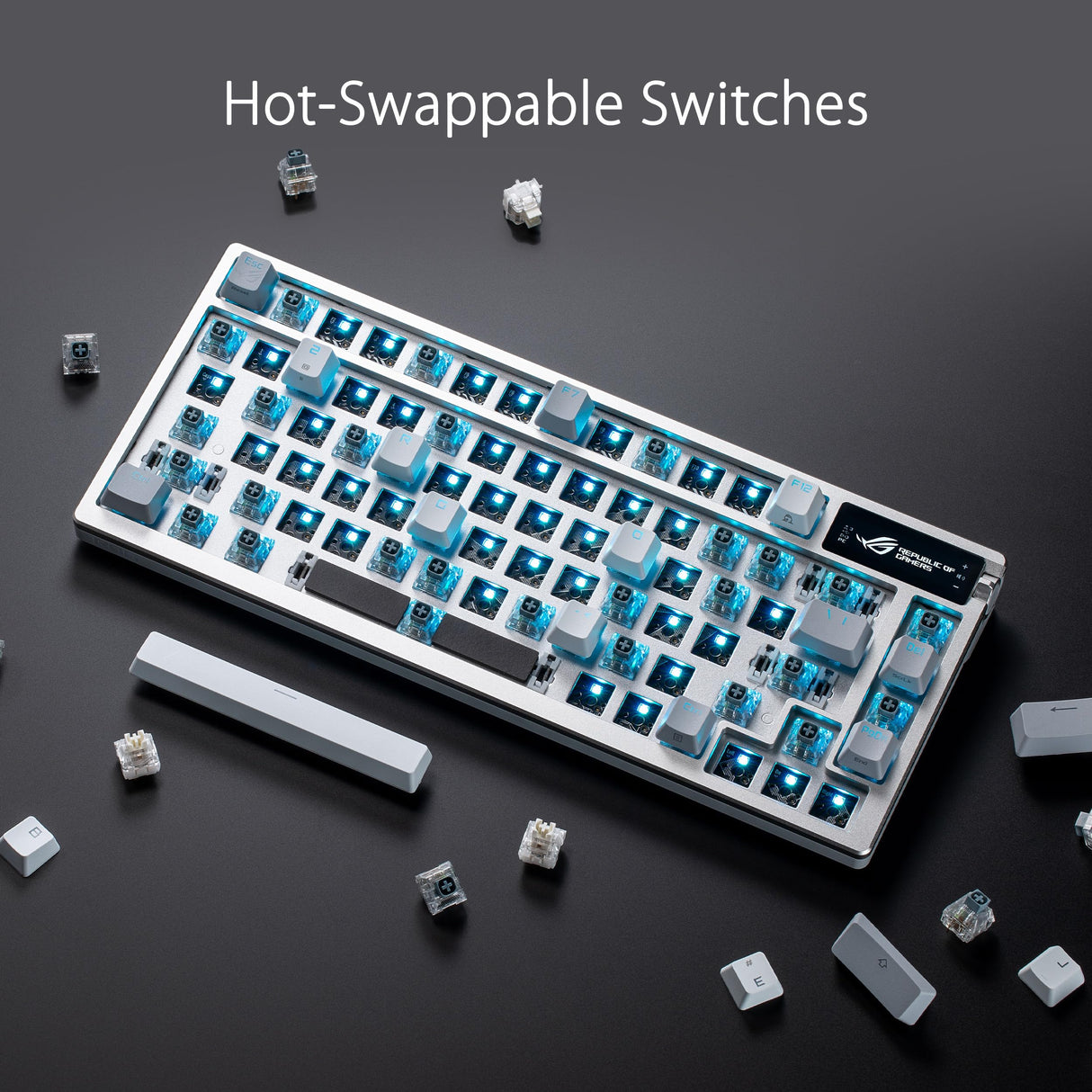 ASUS ROG Azoth White - Teclado mecánico Gaming con conexión Tri-Modo, Pantalla OLED, Montaje por Junta, conmutadores y estabilizadores de Teclado ROG NX Red prelubricados, Hot-Swap, AZERTY