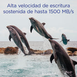 Integral 512GB Tarjeta de Memoria CFexpress Tipo B 2.0 12K & 8K Raw y 8K 120 diseñada para cámaras cinematográficas y DSLR avanzadas con Alta Velocidad de Escritura sostenida mín. 1400MB/s