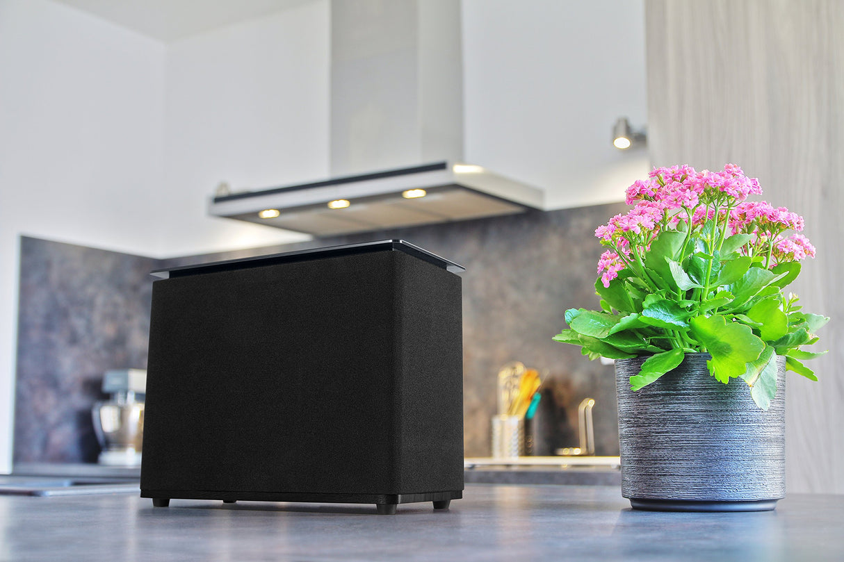 Medion X61072 Lifebeat Altavoces Wi-Fi Multisala con Potencia de Salida RMS de 20 W