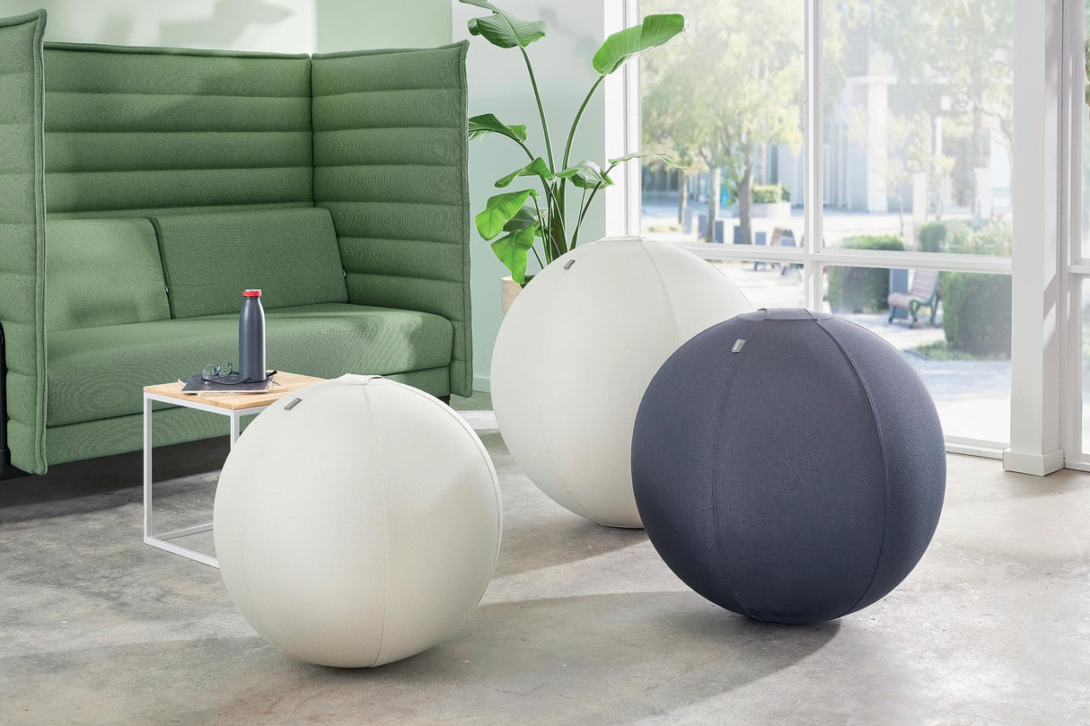 Leitz Balón de Asiento Ergo Active Antideslizante, Diseñado Ergonómicamente como Alternativa a la Silla de Escritorio, 75 cm de Diámetro, Incluye Funda de Tela, Bomba Aire Manual, 2 Tapones, 65430089