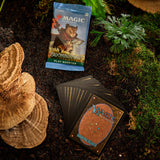 Caja de sobres de juego de Bloomburrow, de Magic: The Gathering - 36 sobres (504 cartas de Magic) (Versión en Español)