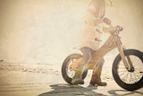 Early Rider Classic Bicicleta de Equilibrio, Juventud Unisex, Aluminio Cepillado, 12"/14" Wheel
