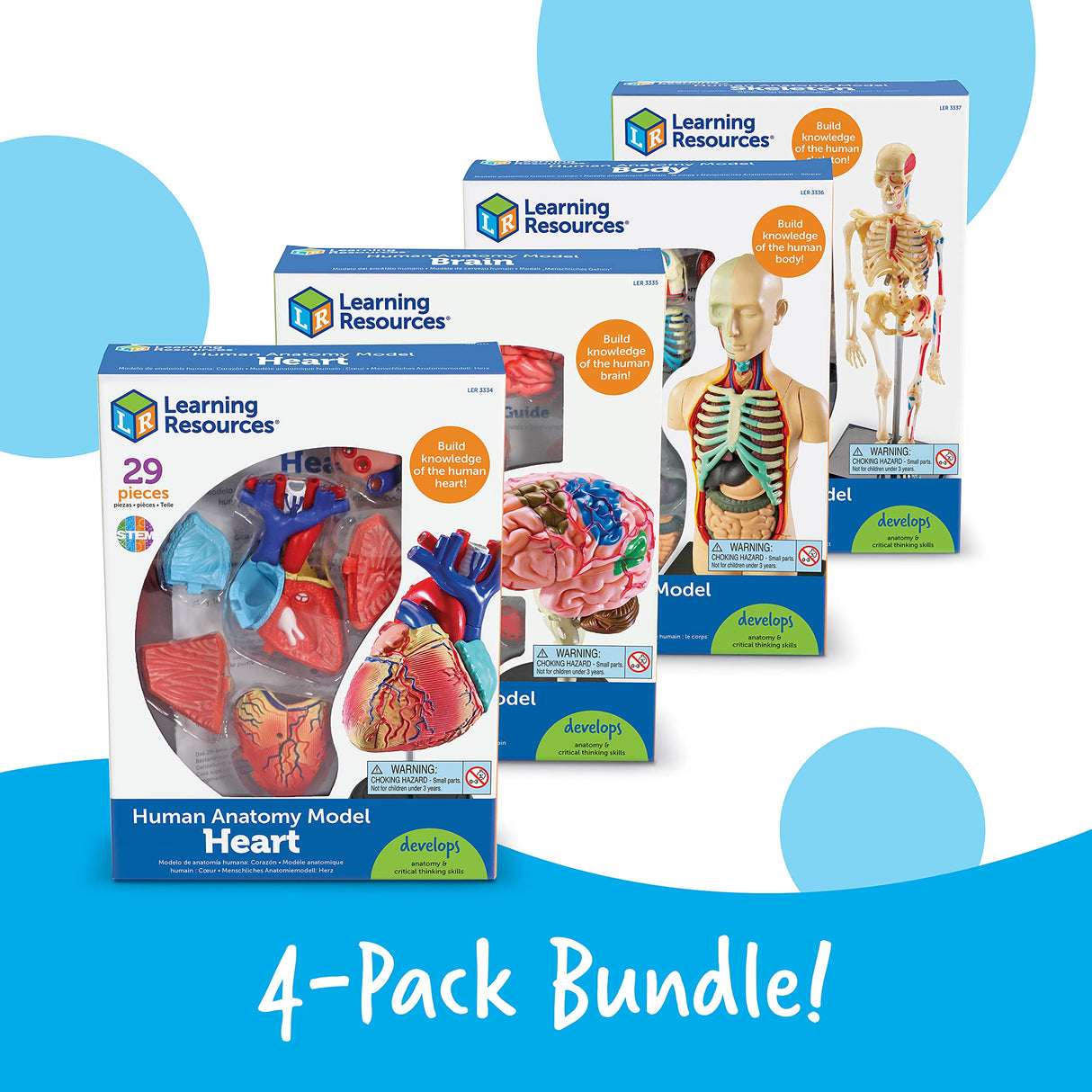 Learning Resources Set de Modelos anatómicos
