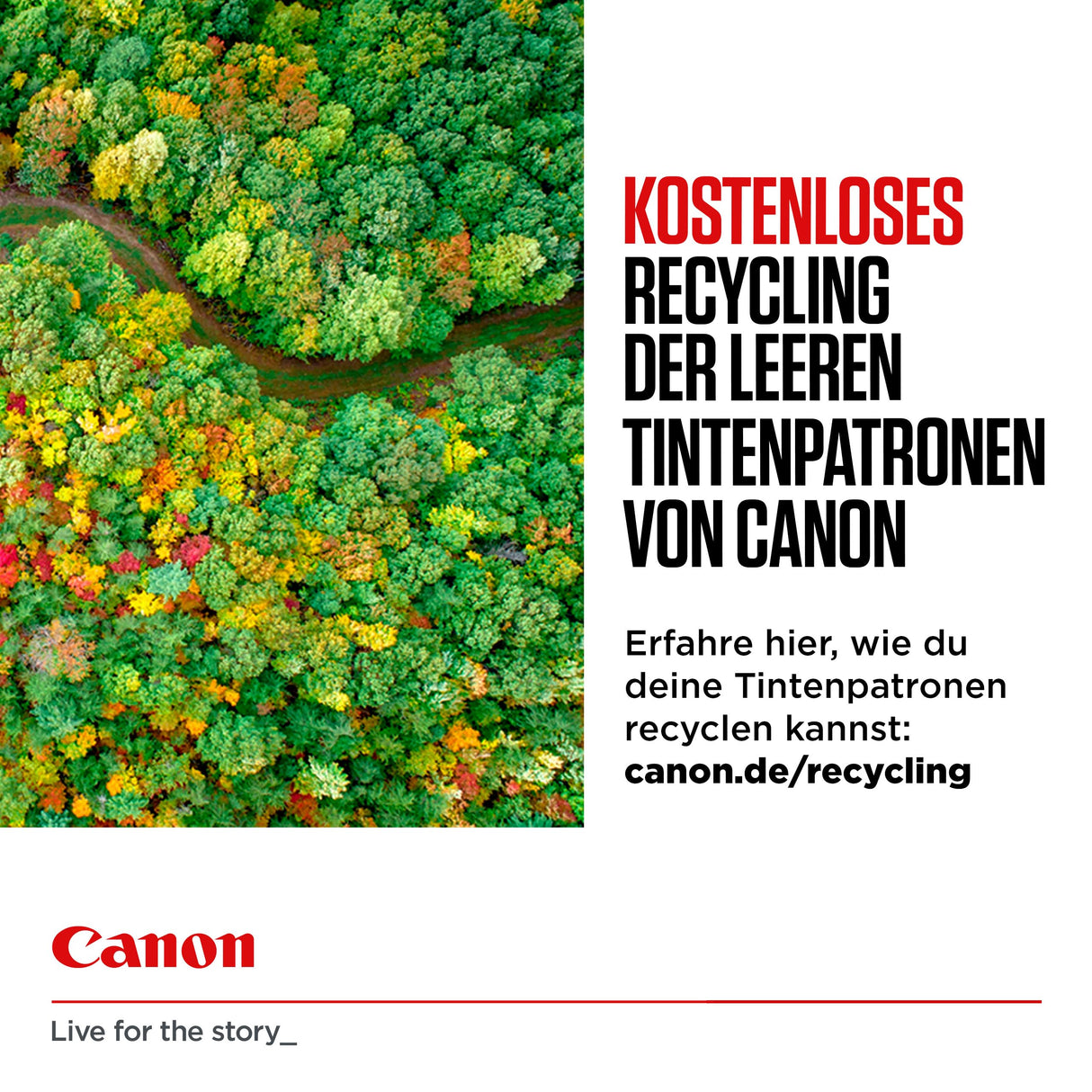 Canon CLI-526, Cartuchos de Tinta Original, Multipack, Cartuchos de Tinta Independientes, Negro, Magenta, Cian,Amarillo, Incluye 50 Hojas Papel Fotográfico 10 x 15 cm, Compatible con Impresoras PIXMA