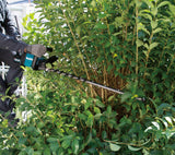 Makita UH007GZ 40V MAX Li-Ion XGT - Cortasetos sin escobillas de 75 cm, baterías y Cargadores no incluidos