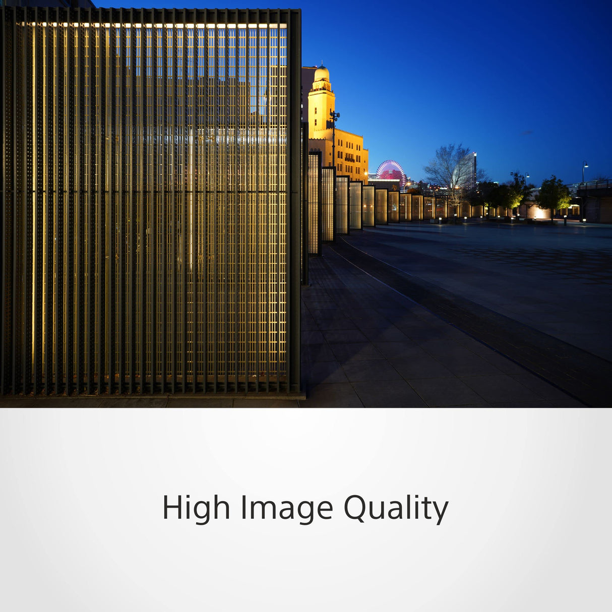 Sony SEL24F28G - Objetivo Full-Frame FE 24mm F2.8 G, Objetivo Prime de la Serie G (Gran Angular, Objetivo de Paisaje)