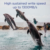 Integral 128GB CFexpress Memory Card Type B 2.0 12K and 8K Raw and 8K 120 FPS 1700MB/s Read 1400MB/s Write Speed 1300MB/s Sustained Write Speed Designed for Advanced Cinematic and DSLR Cameras