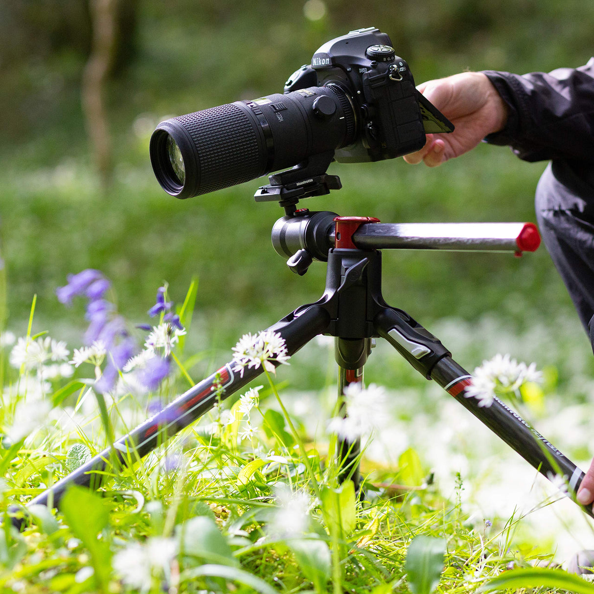 MANFROTTO Trépied MKBFRC4GTXP-BH Befree GT XPRO Carbone